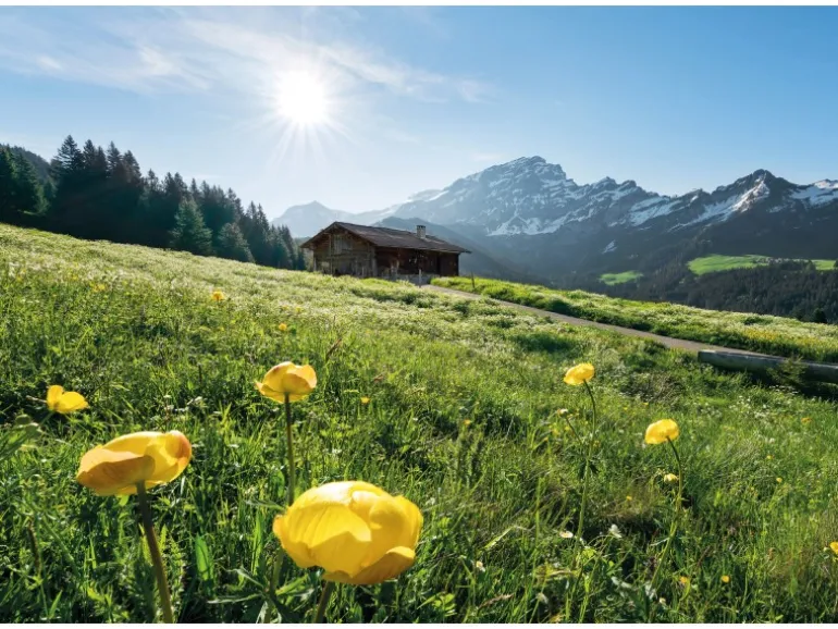 Vlies Fototapete Alpenglück 400x280 cm