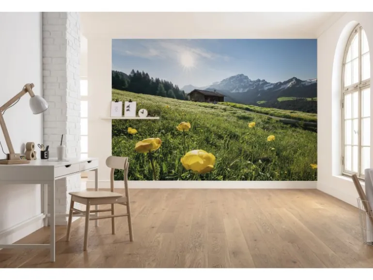Vlies Fototapete Alpenglück 400x280 cm