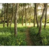 Vlies Fototapete Blütenzauberwald 450x280 cm
