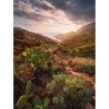 Vlies Fototapete Warmes Licht 200x280 cm
