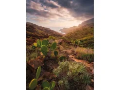 Vlies Fototapete Warmes Licht 200x280 cm