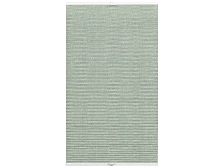 Wohnidee Plissee mit 2 Bedienschienen Grün 100 cm x 130 cm